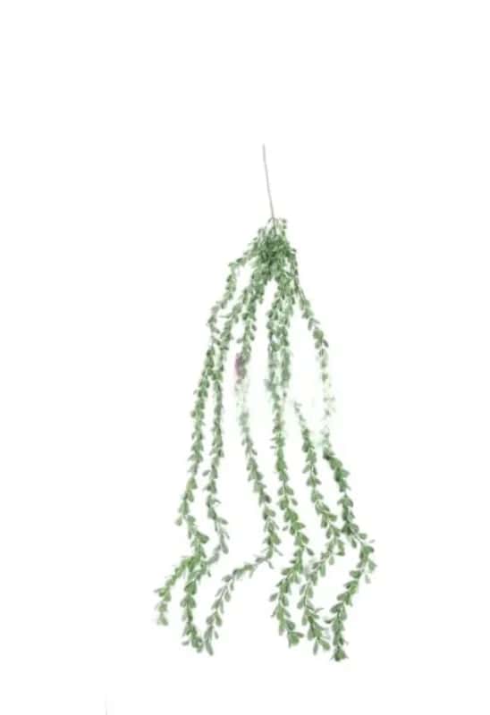 CD-0081 PENDENTE FOLHAGEM EUCALIPTO Atacado